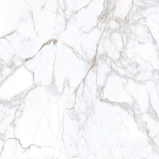 Picture of Tesoro - Lucca 24 x 24 Calacatta Matte