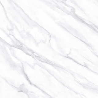 Picture of Tesoro - Lucca 24 x 24 Volakis Matte