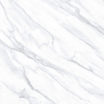 Picture of Tesoro - Lucca 24 x 24 Volakis Matte