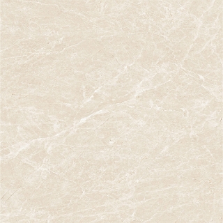 Picture of Tesoro - Lucca 24 x 24 Crema Marfil Matte