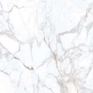 Picture of Tesoro - Lucca 24 x 24 Calacatta Polished