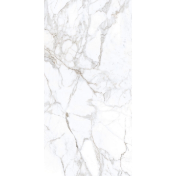 Picture of Tesoro - Lucca 12 x 24 Calacatta Matte