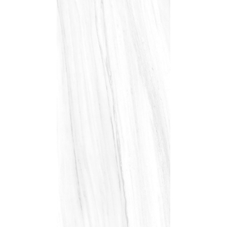 Picture of Tesoro - Lucca 12 x 24 Dolomite Matte