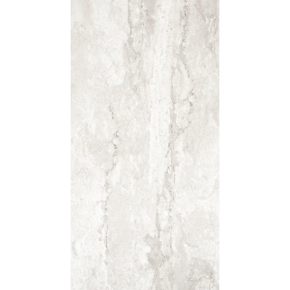 Picture of Tesoro - Tivolazio 12 x 24 Silver Matte