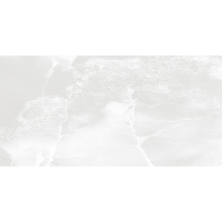 Picture of Tesoro - Lizart 12 x 24 Ice Polished