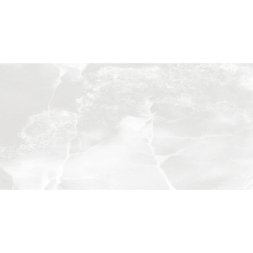 Picture of Tesoro - Lizart 12 x 24 Ice Polished