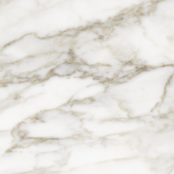 Picture of Tesoro - La Marca 32 x 32 Polished Calacatta Paonazzo