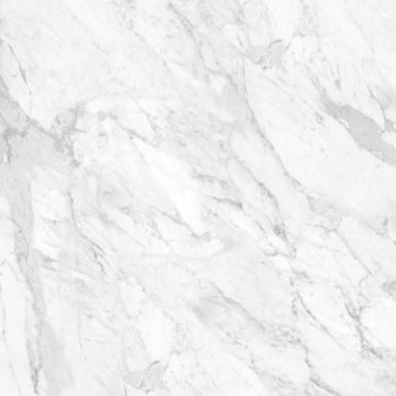 Picture of Tesoro - La Marca 24 x 24 Matte Statuarietto