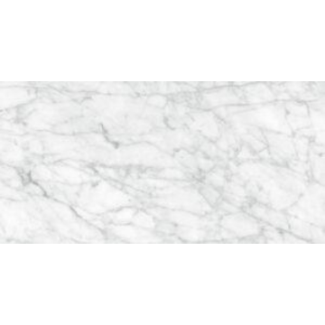 Picture of Tesoro - La Marca 12 x 24 Matte Carrara Gioia