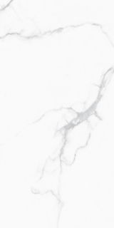 Picture of Tesoro - Cora 24 x 48 Carrara
