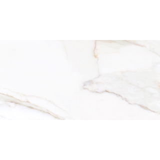 Picture of Tesoro - Paonazzo 24 x 48 Calacatta Gold Matte