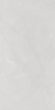 Picture of Tesoro - Walk 24 x 48 White