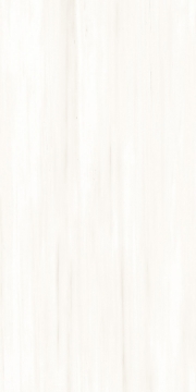 Picture of Tesoro - Dolomina 24 x 48 Polished Beige