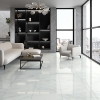 Picture of Emser Tile - Vara 24 x 24 Polished Ribia
