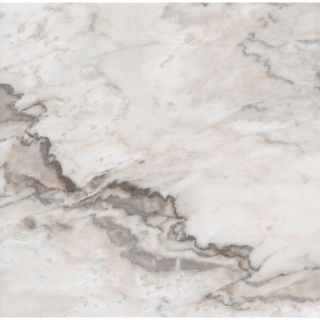 Picture of Emser Tile - Marble 24 x 24 Honed Lenza Fiore
