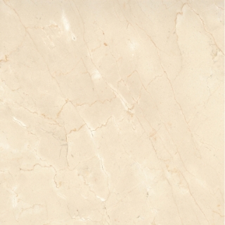 Picture of Emser Tile - Marble 24 x 24 Polished Crema Marfil Plus