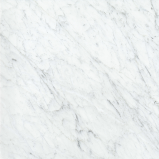 Picture of Emser Tile - Marble 24 x 24 Polished Bianco Gioia