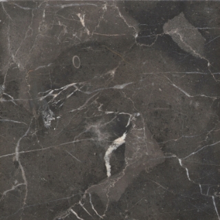 Picture of Emser Tile - Marble 9 x 9 Polished St. Croix Brown