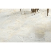 Picture of Emser Tile - Marble 12 x 24 Honed Nieve Bianca