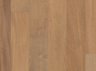 Picture of Anderson - Brasilia Samba