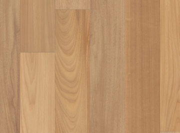 Picture of Anderson - Brasilia Ipanema