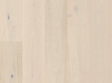 Picture of Anderson - Grand Estate Ashton Court