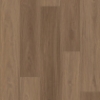 Picture of Shaw Floors - Homebound Cinnamon