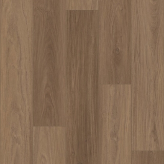 Picture of Shaw Floors - Homebound Cinnamon