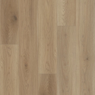 Picture of Shaw Floors - Homebound Honey Wheat