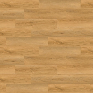 Picture of Republic - Bear Woods White Tiger