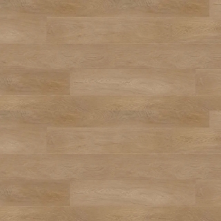 Picture of Republic - Deep Forest Hurricane Tawny