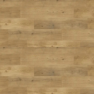 Picture of Republic - South Rose Sahara Pental