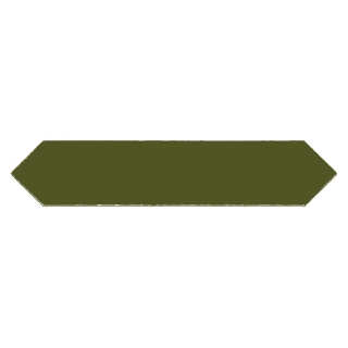 Picture of Equipe - Arrow Green Kelp