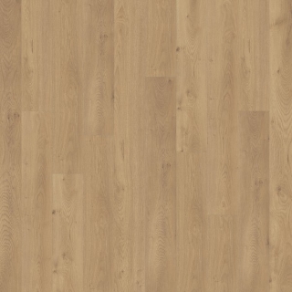 Picture of Chesapeake Flooring - Freedom Grassland