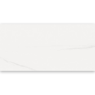 Picture of Refin - Dolomite 12 x 24 Dolomite Matte