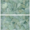 Picture of Marca Corona - Multiforme 16 x 32 Foliage