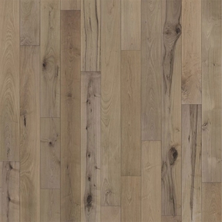 Picture of Chesapeake Flooring - Cromwell Nanticoke Maple