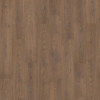 Picture of Chesapeake Flooring - All American Premium 2.0 Dragon Tree