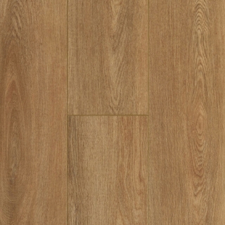 Picture of Bruce - Lifeseal Reserve Plank Trail Ahead