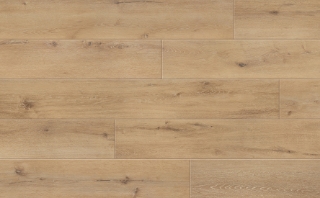 Picture of Johnson - Skyview Horizon