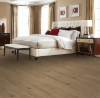Picture of Mohawk - RevWood Select Gardenia Lake Beach Blonde Oak