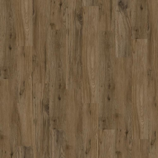 Picture of Chesapeake Flooring - Devine Bewitched