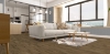 Picture of Chesapeake Flooring - Devine Bewitched