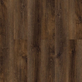 Picture of Chesapeake Flooring - Hemisphere Equinox
