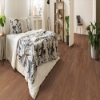 Picture of Chesapeake Flooring - Ameriscape 20 Pro Plank Revolution