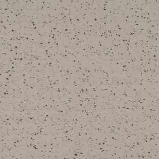 Picture of Flexco - SpexTones Radial High Profile Meridian Bone w Barley Outer Banks