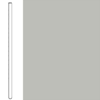 Picture of Flexco - Wallflowers Wall Base 2 1/2 Straight Fjord