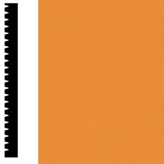 Picture of Flexco - Base Sculpture Wall Base Icon Toucan