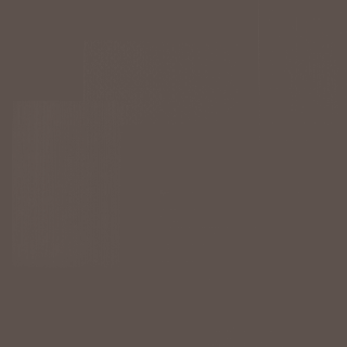 Picture of Roppe - Dimensions Tile - Random Design Clove