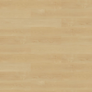 Picture of Shaw Contract - Grain / Pigment Bare